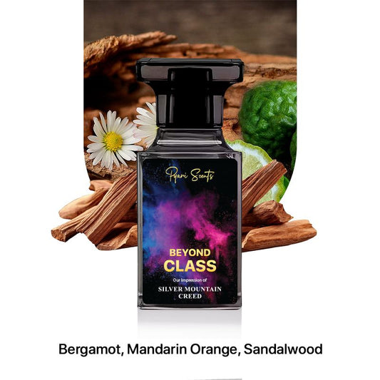 Beyond Class Inspired by Silver Mountain