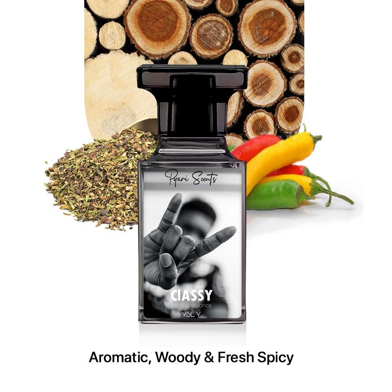 Classy Inspired by YSL Y